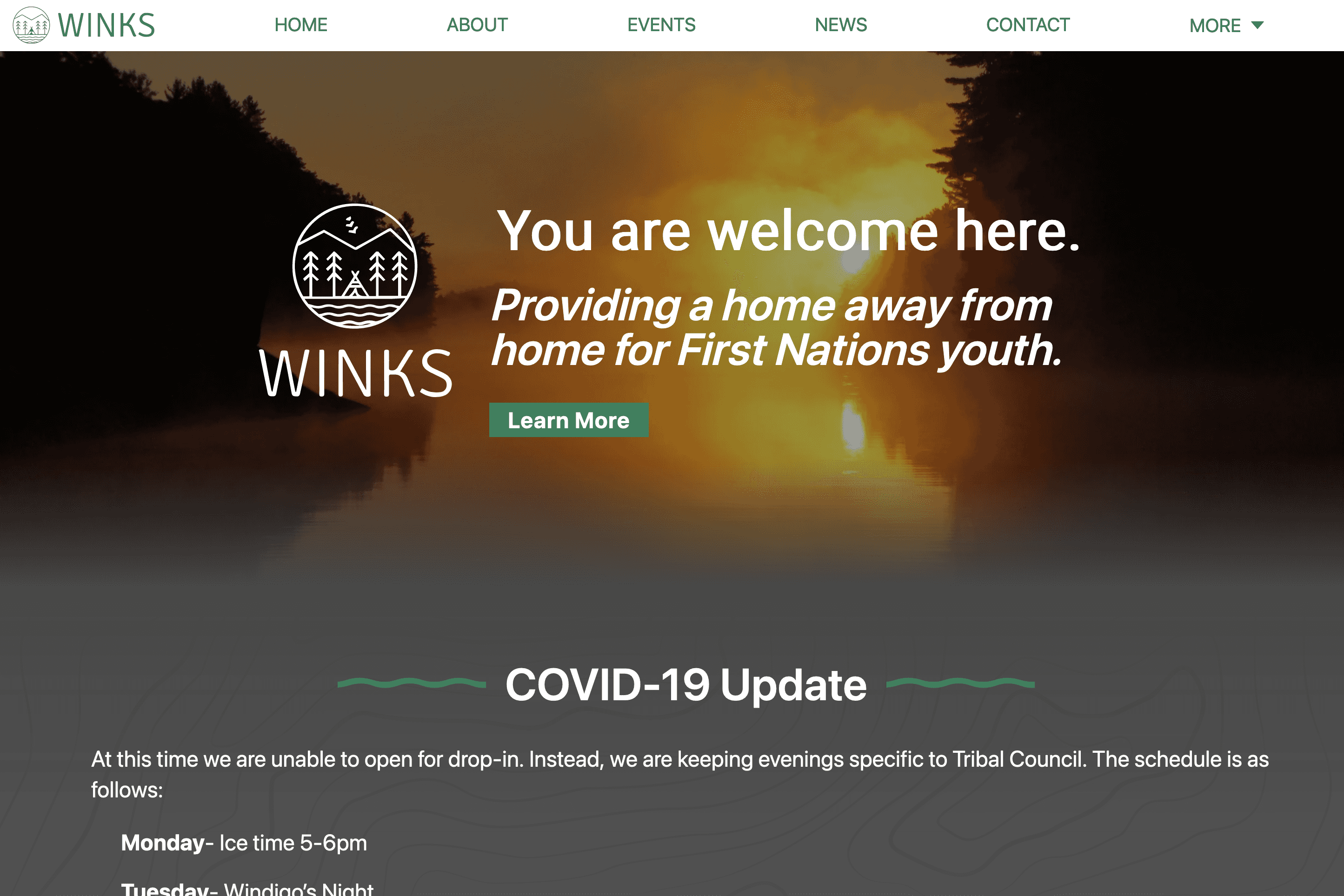 WINKS Youth Program website